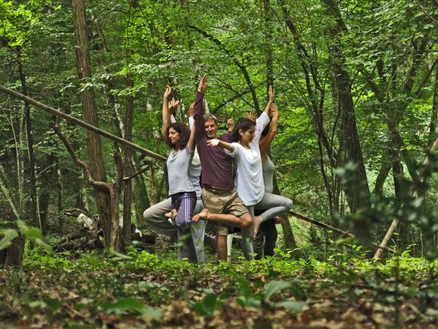 Asana Albero yoga in gruppo