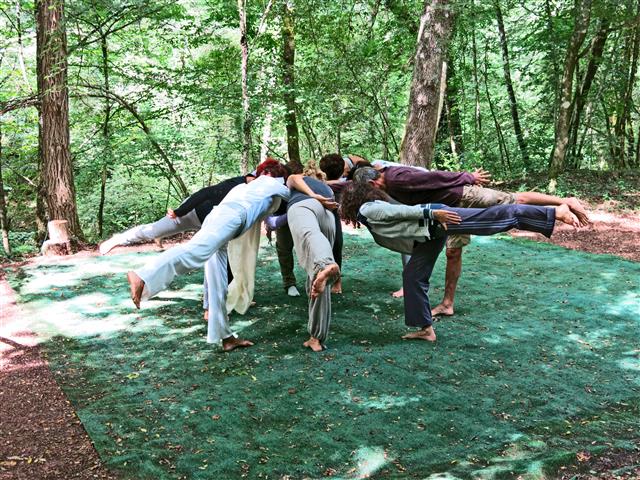 Asana gruppo yoga ed equilibrio