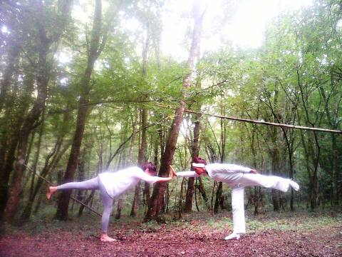 Corsi Yoga nella pineta a Ravenna Parco Primo Maggio