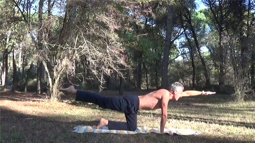 Maestro yoga Fabio Valis Raja Asana 2